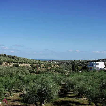 Pretty In Grays Loutra (Crete)
